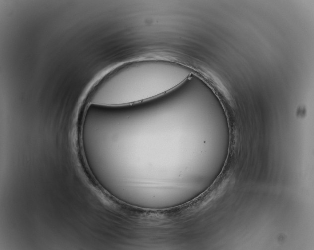X0000103420784200809121011