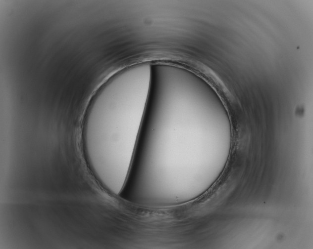 X0000103420786200809121011