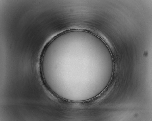 X0000103420787200809121011
