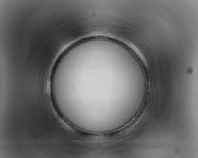 X0000103420791200809121011