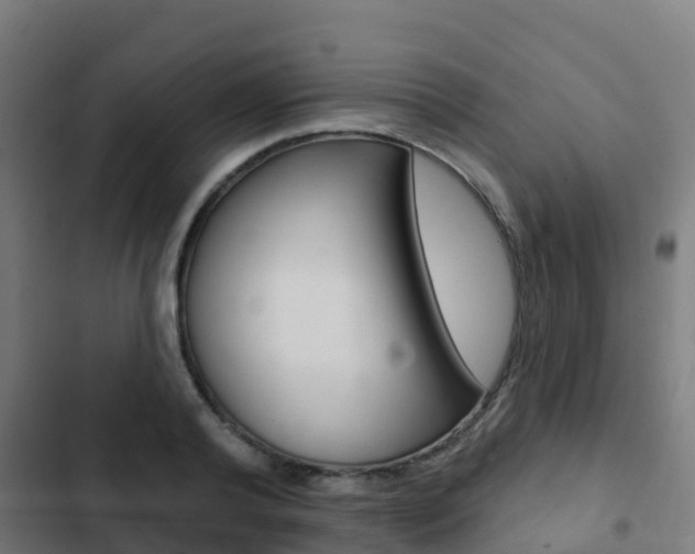 X0000103420792200809121011