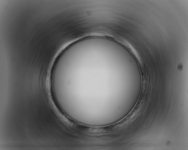 X0000103420795200809121011