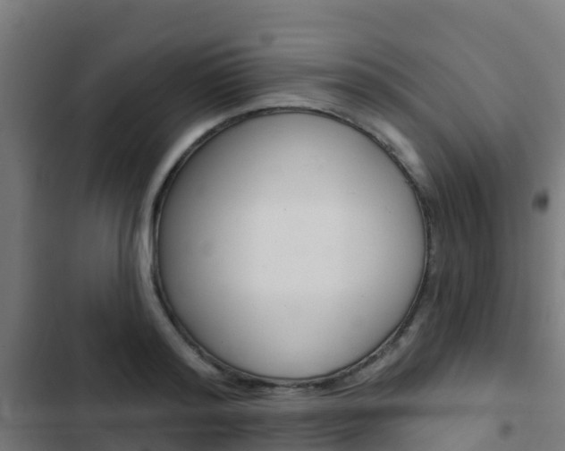 X0000103420796200809121011
