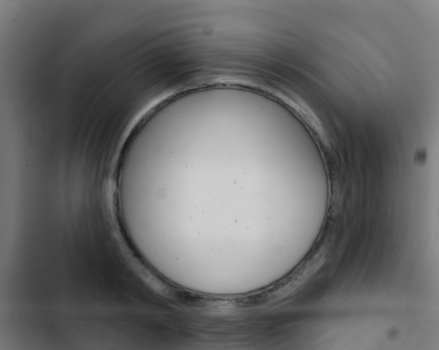 X0000103420798200809121011