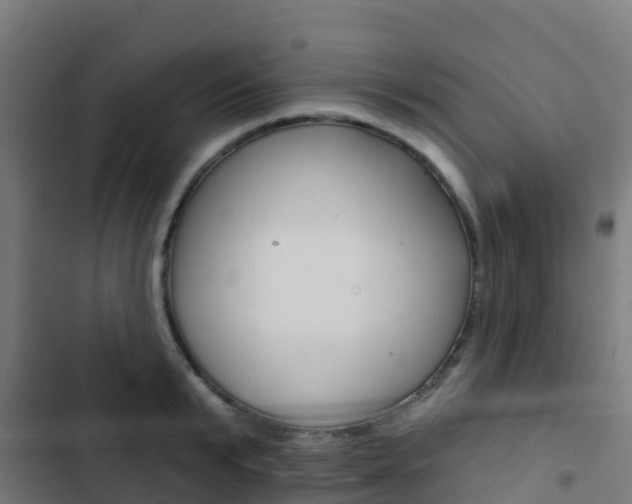 X0000103420799200809121011