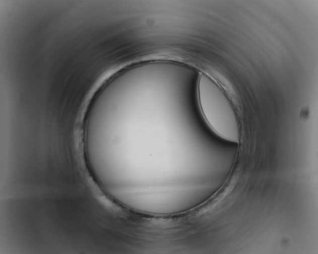X0000103420800200809121011