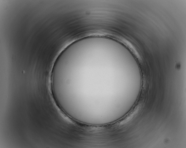 X0000103420802200809121011