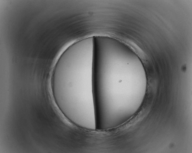 X0000103420804200809121011