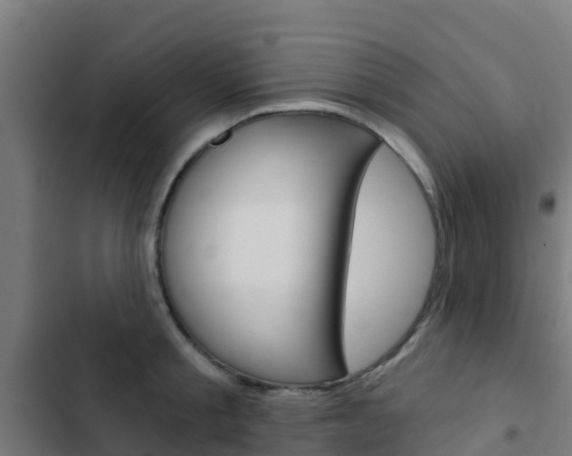 X0000103420805200809121011