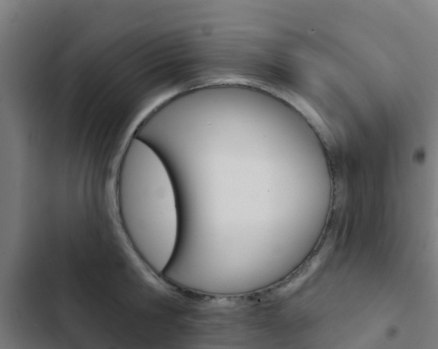 X0000103420806200809121011