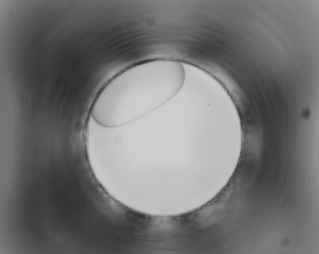 X0000103420807200809121011