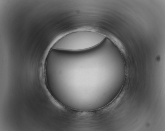 X0000103420808200809121011