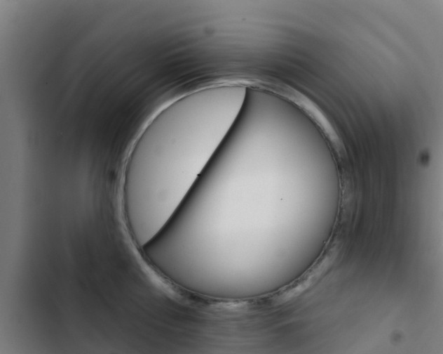X0000103420810200809121011