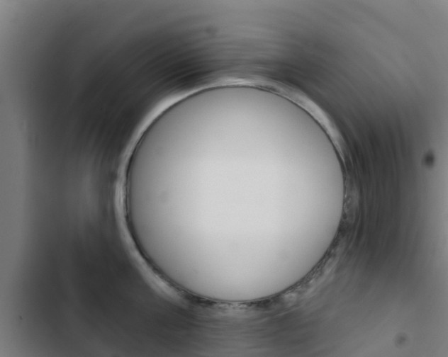 X0000103420811200809121011