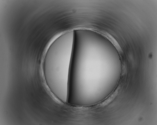 X0000103420812200809121011