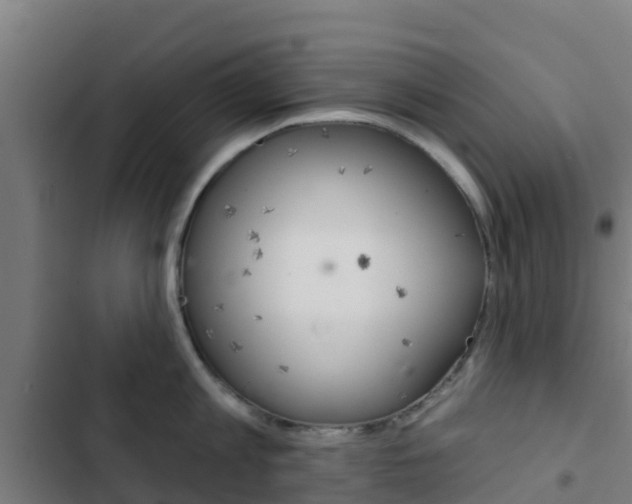 X0000103420813200809121011