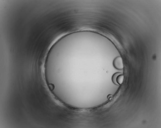 X0000103420814200809121011