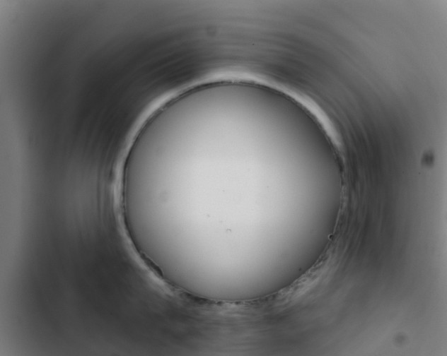 X0000103420815200809121011