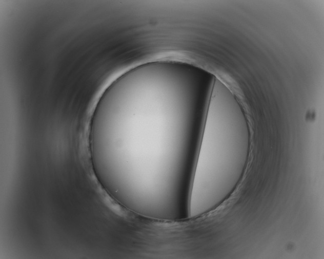 X0000103420816200809121011