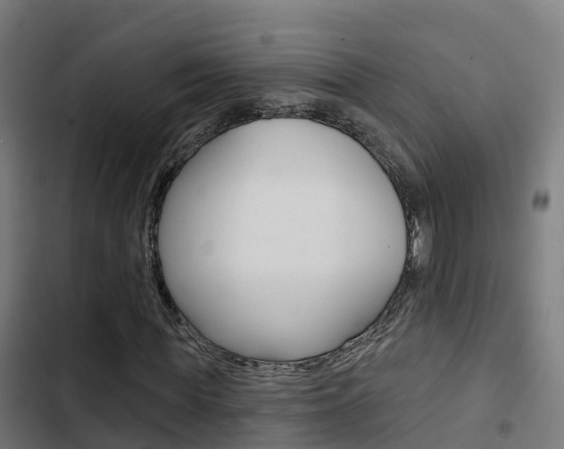 X0000103420819200809121010