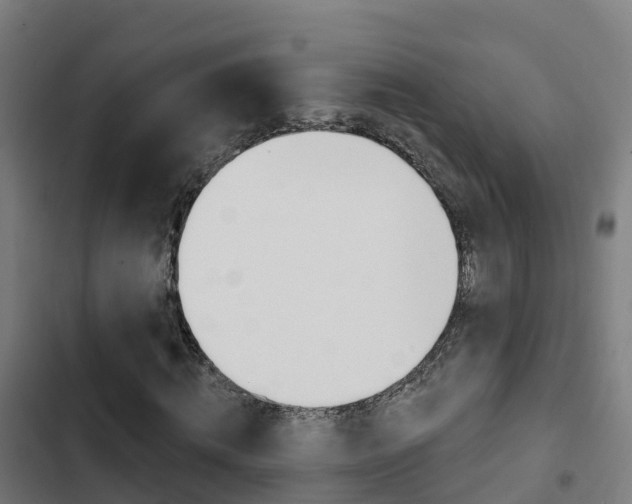 X0000103420820200809121010
