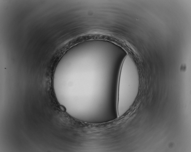 X0000103420821200809121010