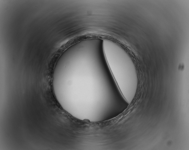 X0000103420822200809121010
