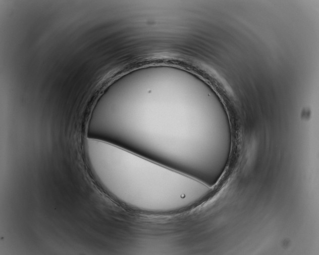 X0000103420825200809121010