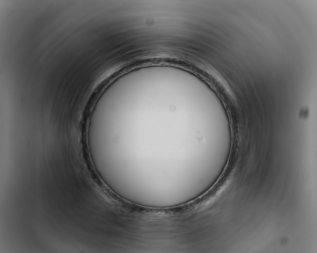 X0000103420826200809121010