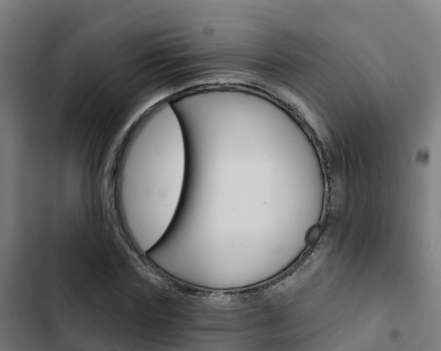 X0000103420827200809121010