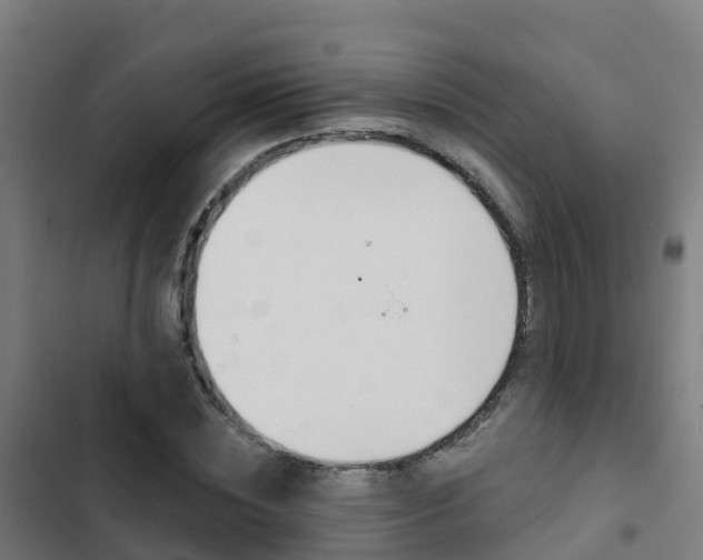X0000103420828200809121010