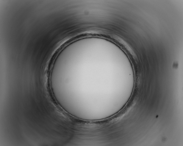 X0000103420829200809121010