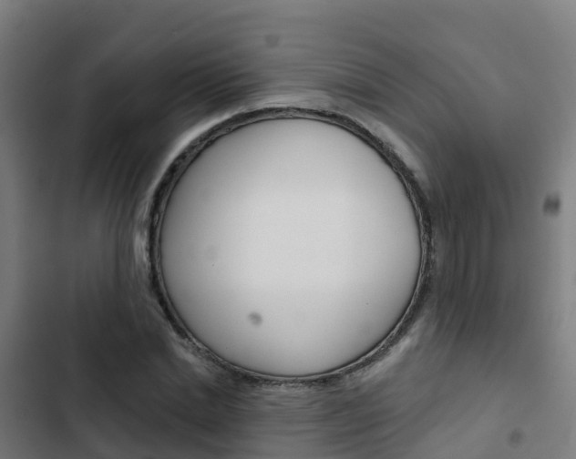 X0000103420830200809121010