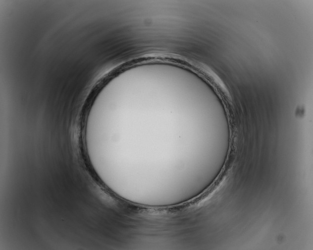 X0000103420831200809121010