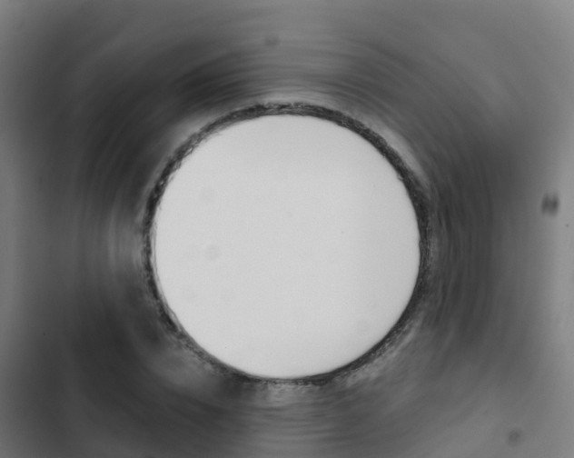 X0000103420832200809121010