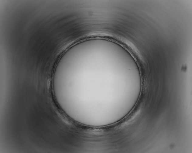 X0000103420833200809121010