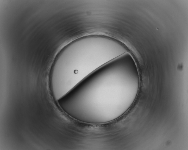 X0000103420834200809121010