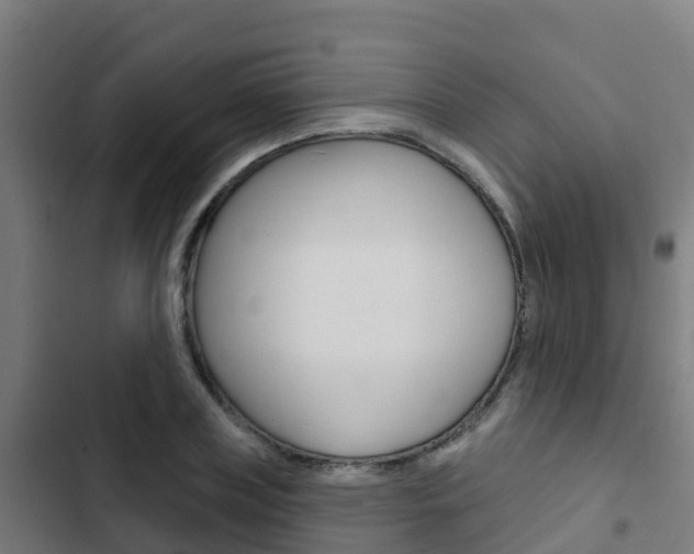 X0000103420835200809121010
