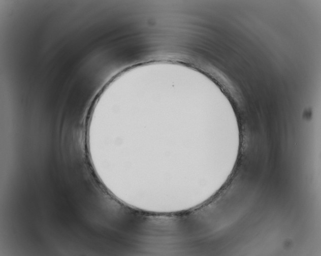 X0000103420836200809121010