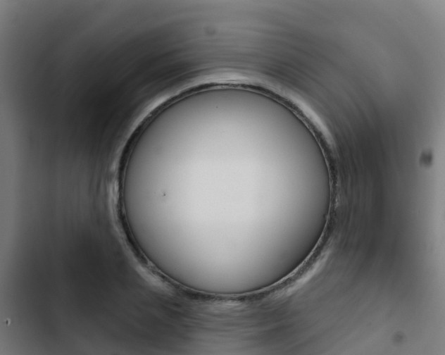 X0000103420837200809121010