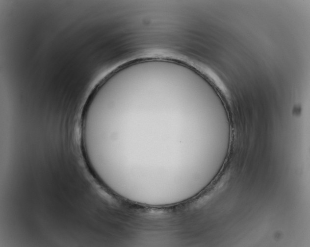 X0000103420839200809121010