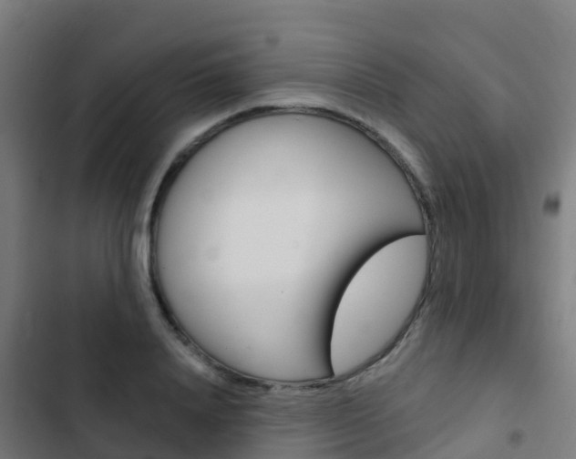 X0000103420840200809121010