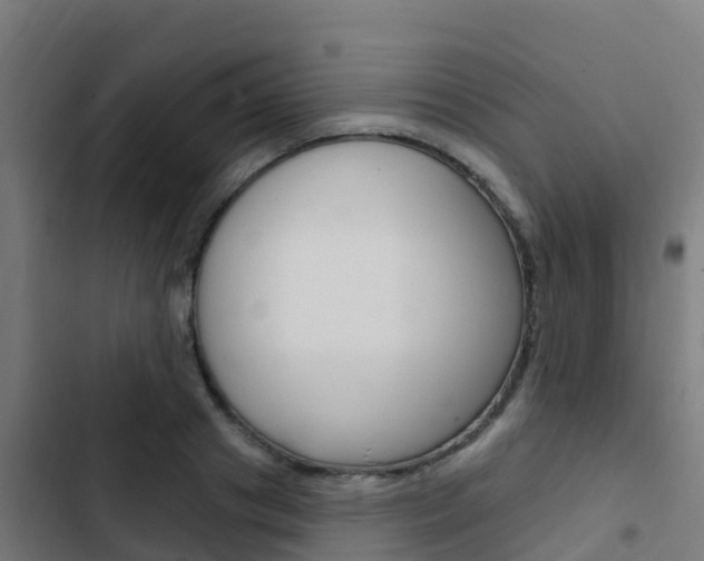 X0000103420841200809121010