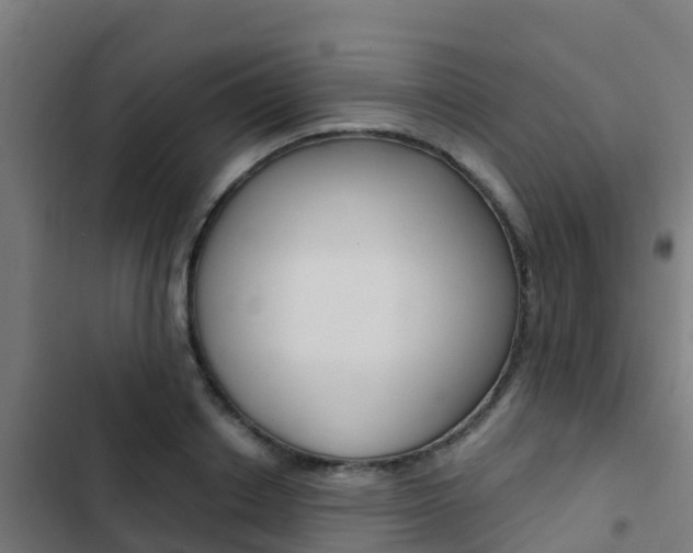 X0000103420842200809121010