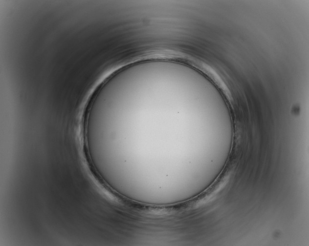 X0000103420843200809121010