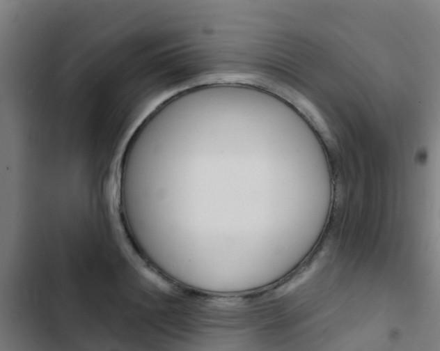 X0000103420844200809121010