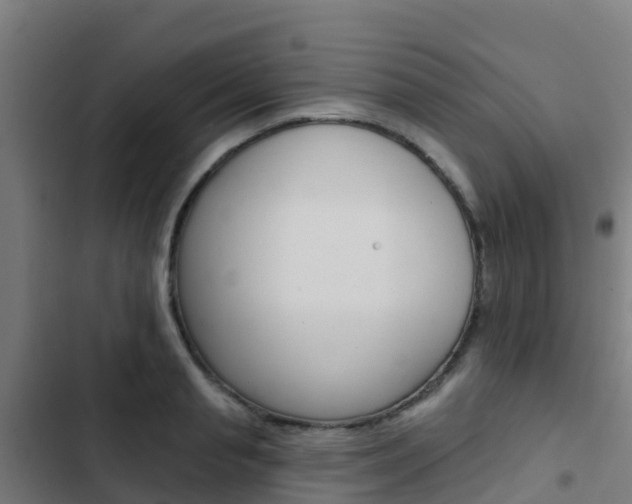 X0000103420845200809121010