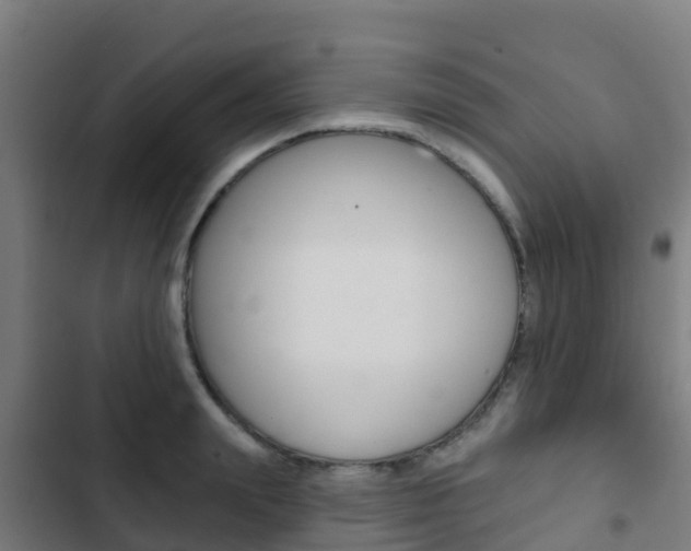 X0000103420847200809121011