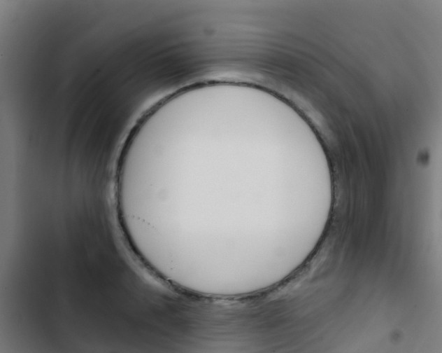 X0000103420848200809121011