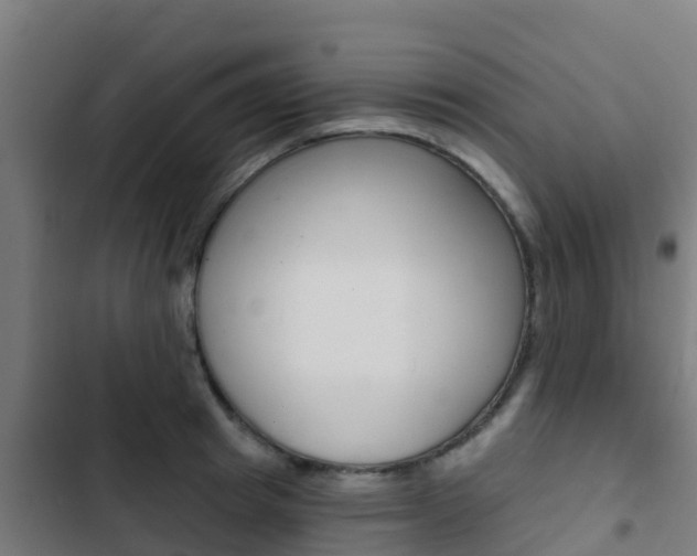 X0000103420849200809121011